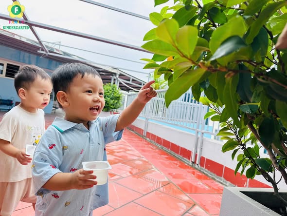 Bé chăm cây — bé khám phá bầu trời — khoảnh khắc 3